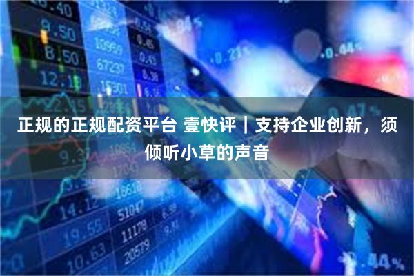 正规的正规配资平台 壹快评｜支持企业创新，须倾听小草的声音