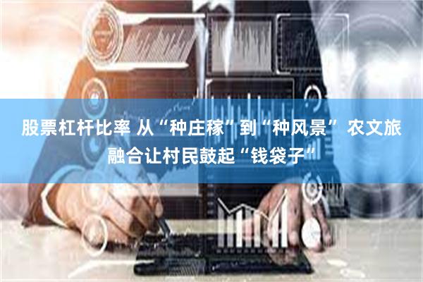 股票杠杆比率 从“种庄稼”到“种风景” 农文旅融合让村民鼓起“钱袋子”