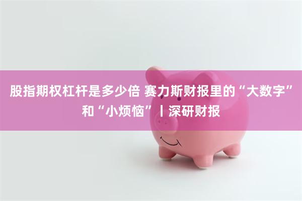 股指期权杠杆是多少倍 赛力斯财报里的“大数字”和“小烦恼”丨深研财报