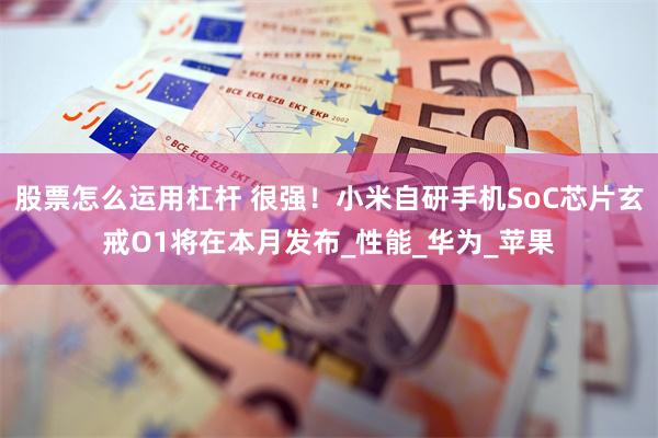 股票怎么运用杠杆 很强！小米自研手机SoC芯片玄戒O1将在本月发布_性能_华为_苹果
