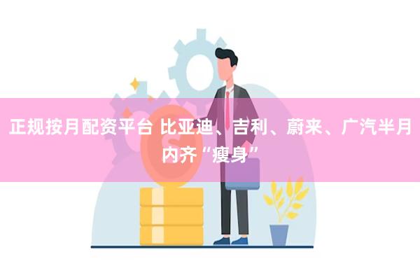 正规按月配资平台 比亚迪、吉利、蔚来、广汽半月内齐“瘦身”