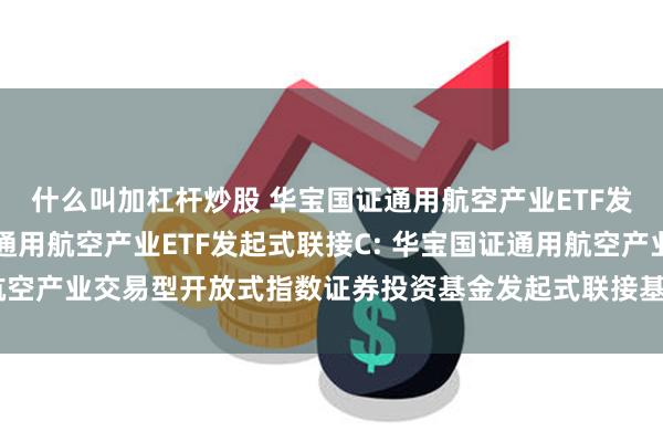 什么叫加杠杆炒股 华宝国证通用航空产业ETF发起式联接A,华宝国证通用航空产业ETF发起式联接C: 华宝国证通用航空产业交易型开放式指数证券投资基金发起式联接基金基金份额发售公告