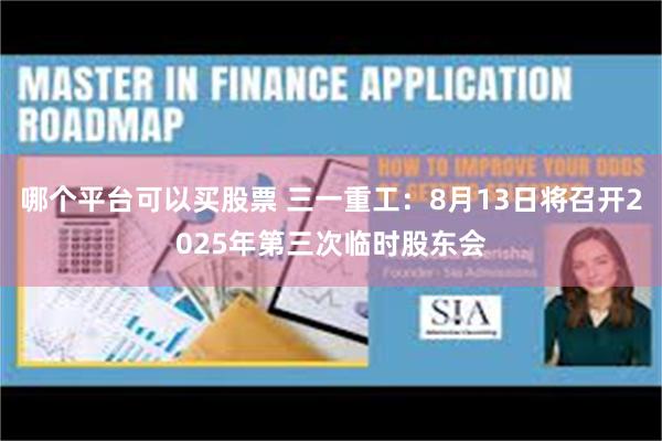 哪个平台可以买股票 三一重工：8月13日将召开2025年第三次临时股东会