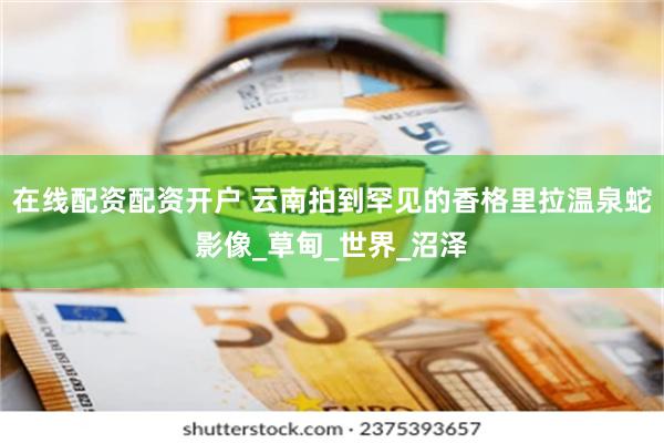 在线配资配资开户 云南拍到罕见的香格里拉温泉蛇影像_草甸_世界_沼泽