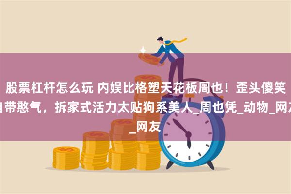 股票杠杆怎么玩 内娱比格塑天花板周也！歪头傻笑自带憨气，拆家式活力太贴狗系美人_周也凭_动物_网友